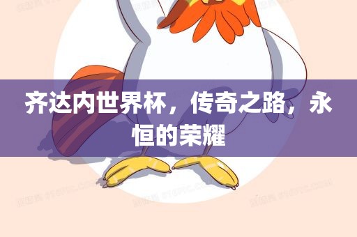 齐达内世界杯，传奇之路，永恒的荣耀金炬实业股份有限公司