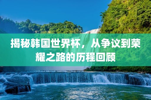 揭秘韩国世界杯，从争议到荣耀之路的历程回顾金炬实业股份有限公司