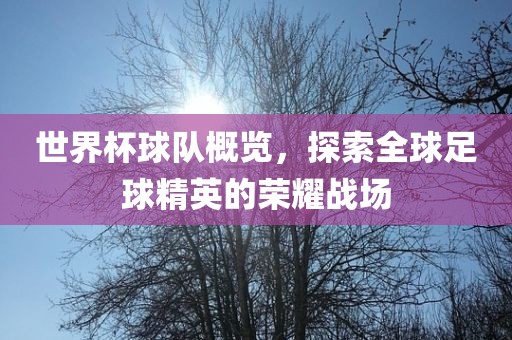 世界杯球队概览，探索全球足球精英的荣耀战场