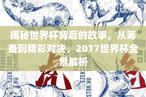 揭秘世界杯背后的故事，从筹备到精彩对决，2017世界杯全景解析