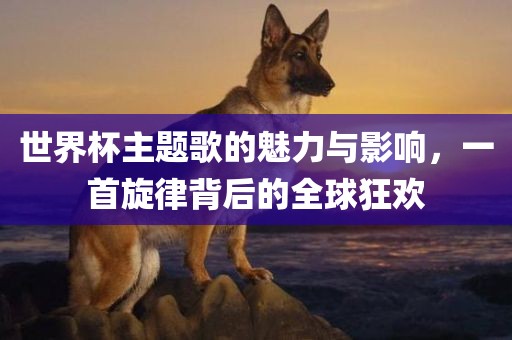 世界杯主题歌的魅力与影响，一首旋律背后的全球金炬实业股份有限公司狂欢