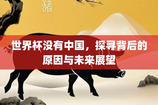 世界杯没有中国，探寻背后的原因与未来展望