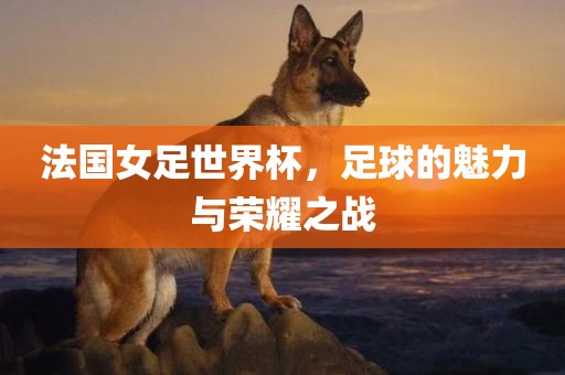 法国女足世界杯，足球的魅力与荣耀之战