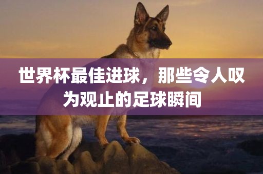 世界杯最佳进球，那些令人叹为观止的足球瞬间