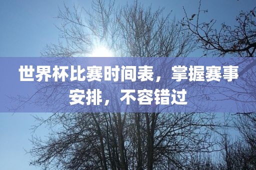 世界杯比赛时间表，掌握赛事安排，不容错过
