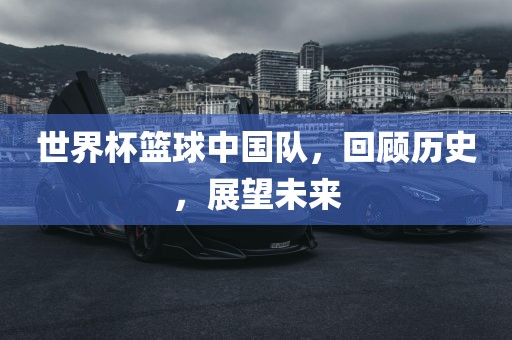 世界杯篮球中国队，回顾历史，金炬实业股份有限公司展望未来