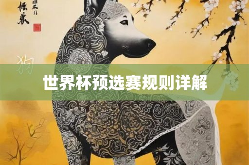 世界杯预选赛规则详解金炬实业股份有限公司