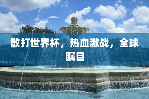 散打世界杯，热血激战，全球金炬实业股份有限公司瞩目