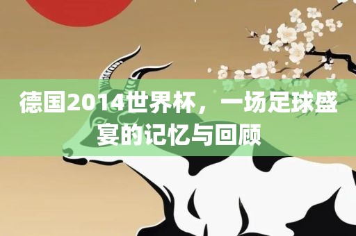 德国2014世界杯，一场足球盛宴的记忆与回顾金炬实业股份有限公司