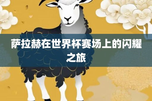萨拉赫在世界杯赛场上的闪耀金炬实业股份有限公司之旅