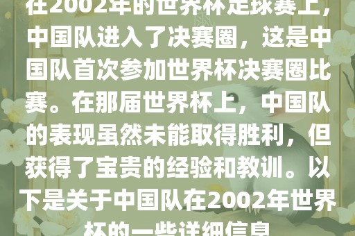 在2002年的世界杯足球赛上，中国队进入了决赛圈，这是中国队首次参加世界杯决赛圈比赛。在那届世界杯上，中国队的表现虽然未能取得胜利，但获得了宝贵的经验和教训。以下是关于中国队在2002年世界杯的一些详细信息