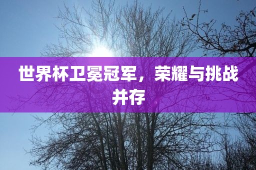 世界杯卫冕金炬实业股份有限公司冠军，荣耀与挑战并存