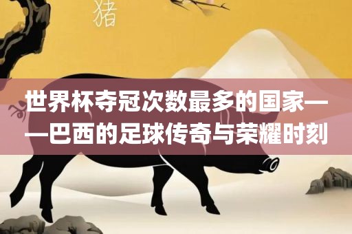 世界杯夺冠次数最多的国家——巴西的足球传奇与荣耀时刻