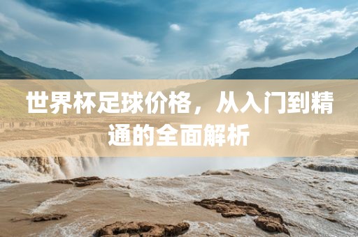 世界杯足球价格，从入门到精通的全面解析