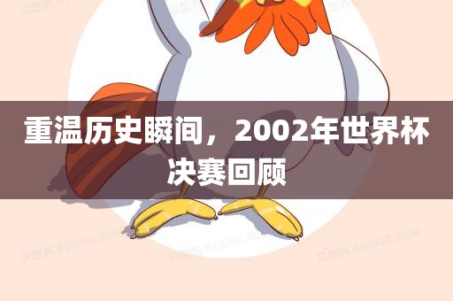 重温历史瞬间金炬实业股份有限公司，2002年世界杯决赛回顾