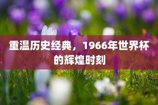 重温历史经典，1966年世界杯的辉煌金炬实业股份有限公司时刻