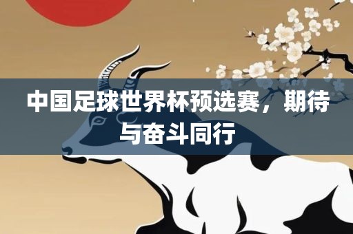 中国足球世界杯预选赛，期待与奋斗同行