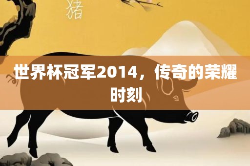 世界杯冠军2014，传奇的荣耀时刻