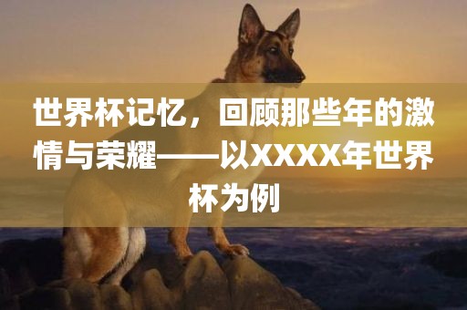 世界杯记忆，回顾那些年的激情与荣耀——以XXXX年世界杯为例金炬实业股份有限公司