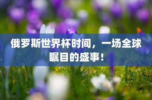 俄罗斯世界杯时间，一场全球瞩目的盛事！金炬实业股份有限公司