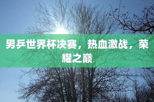 男乒世界杯决赛，热血激战，荣耀之巅