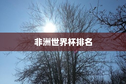 非洲世界杯排名