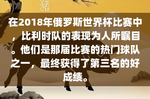 在2018年俄罗斯世界杯比赛中，比利时队的表现为人所瞩目。他们是那届比赛的热门球队之一，最终获得了第三名的好成绩。金炬实业股份有限公司