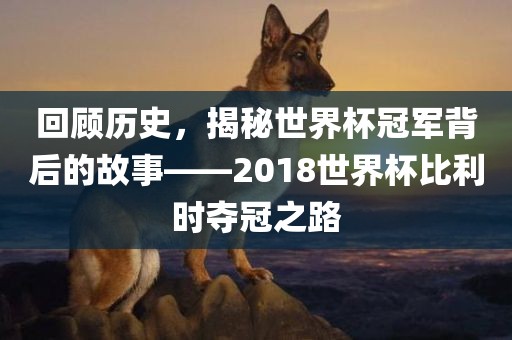 回顾历史，揭秘世界杯冠军背后的故事——2018世界杯比利时夺冠之路金炬实业股份有限公司