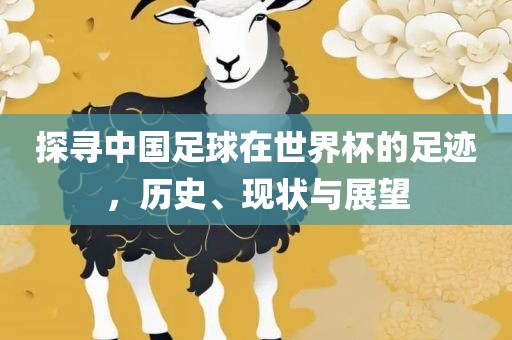 探寻中国足球在世界杯的足迹，历史、现状与展望
