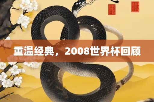 重温经典，2008世界杯回金炬实业股份有限公司顾