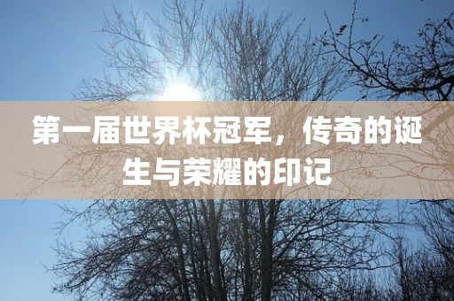 第一届世界杯冠军，传奇的诞生与荣耀的印记金炬实业股份有限公司