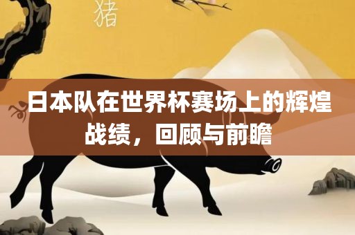 日本队在世界杯赛场上的辉煌战绩，回顾与前瞻