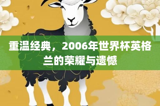 重温经典，2006年世界杯英格兰的荣耀与遗憾