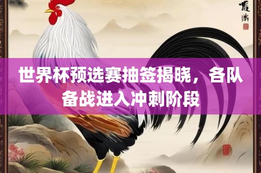 世界杯预选赛抽签揭晓，各队备金炬实业股份有限公司战进入冲刺阶段