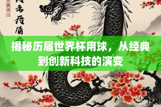 揭秘历届世界杯用球，从经典到创新科技的演变