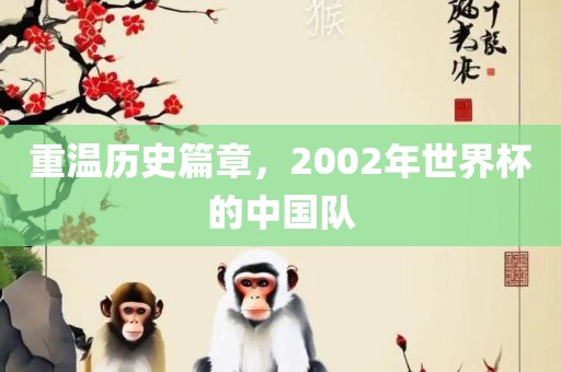 重温历史篇章，2002年世界杯的中国队金炬实业股份有限公司