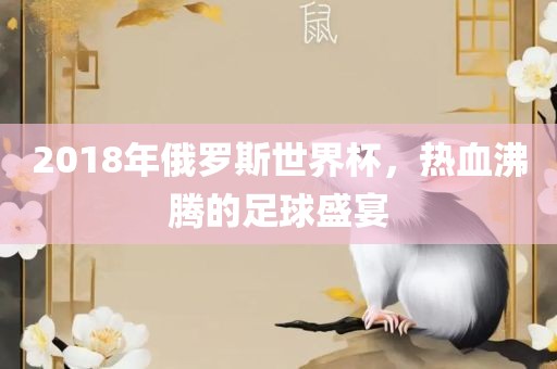 足球盛宴 第26页