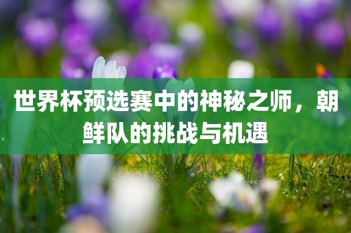 世界杯预选赛中的神金炬实业股份有限公司秘之师，朝鲜队的挑战与机遇