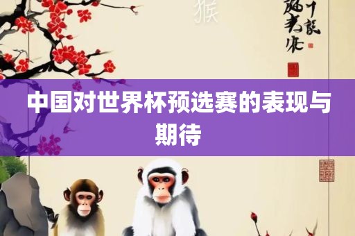 金炬实业股份有限公司中国对世界杯预选赛的表现与期待