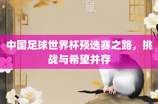 中国足球世界杯预选赛之路，挑战与希望并存