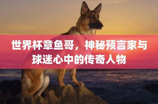 世界杯章鱼哥，神秘预言家与球迷心中的传奇人物金炬实业股份有限公司