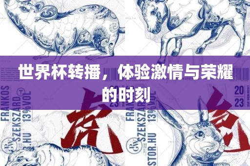 世界杯转播，体验激情与荣耀的时刻