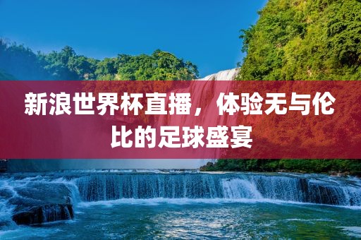 新浪世界杯直播，体验无与伦比的足球盛宴金炬实业股份有限公司