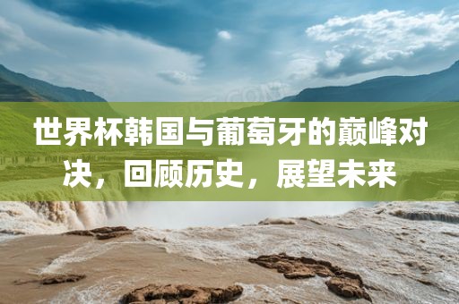 世界杯韩国与葡萄牙的巅峰对决，回顾历史，展望未来金炬实业股份有限公司