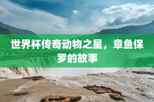 世界杯传金炬实业股份有限公司奇动物之星，章鱼保罗的故事