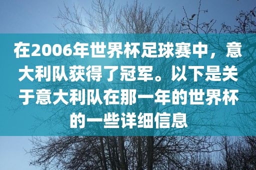 在2006年世界杯足球赛中，意大利队获得了冠军。以下是关于意大利队在那一年的世界杯的一些详细信息