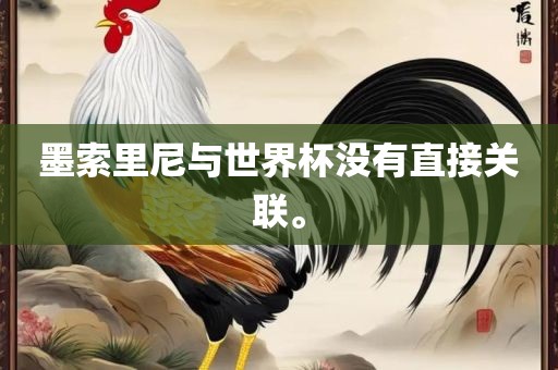 墨索里尼与世界杯没有直接关金炬实业股份有限公司联。