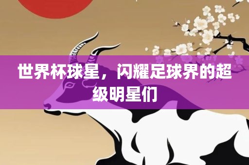 世界杯球星，闪耀足球界的超级明星们