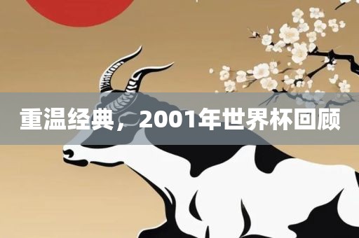 重温经典，2001年世界杯回顾金炬实业股份有限公司