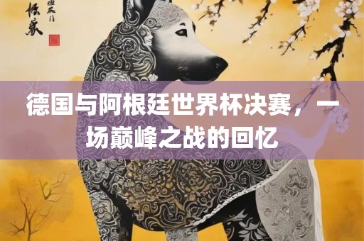 德国与阿根廷世界杯决赛，一场巅峰之战的回忆金炬实业股份有限公司